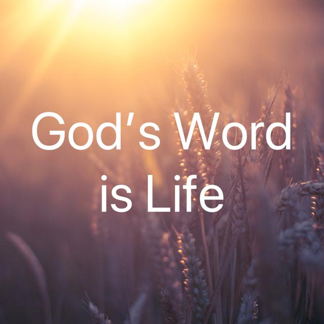 A Banner with a Quote God's Word is Life
